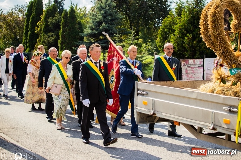 Zdjęcie w galerii na portalu naszraciborz.pl: Dożynki 2018. Dziś świętuje Racibórz. Barwny korowód od Sudoła do Studziennej WIDEO wiadomości z regionu