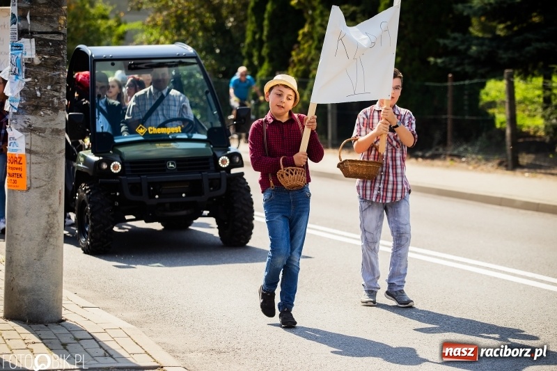 Zdjęcie w galerii na portalu naszraciborz.pl: Dożynki 2018. Dziś świętuje Racibórz. Barwny korowód od Sudoła do Studziennej WIDEO wiadomości z regionu
