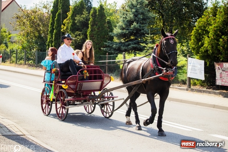 Zdjęcie w galerii na portalu naszraciborz.pl: Dożynki 2018. Dziś świętuje Racibórz. Barwny korowód od Sudoła do Studziennej WIDEO wiadomości z regionu