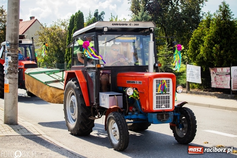 Zdjęcie w galerii na portalu naszraciborz.pl: Dożynki 2018. Dziś świętuje Racibórz. Barwny korowód od Sudoła do Studziennej WIDEO wiadomości z regionu
