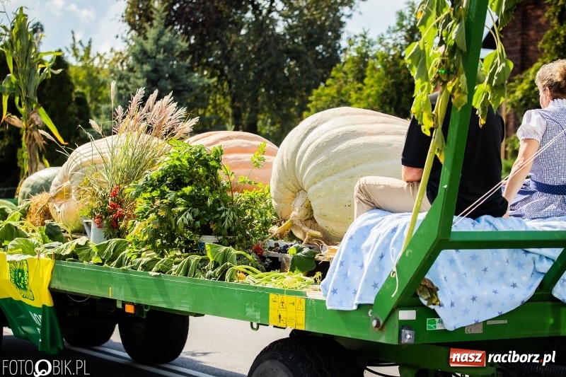 Zdjęcie w galerii na portalu naszraciborz.pl: Dożynki 2018. Dziś świętuje Racibórz. Barwny korowód od Sudoła do Studziennej WIDEO wiadomości z regionu