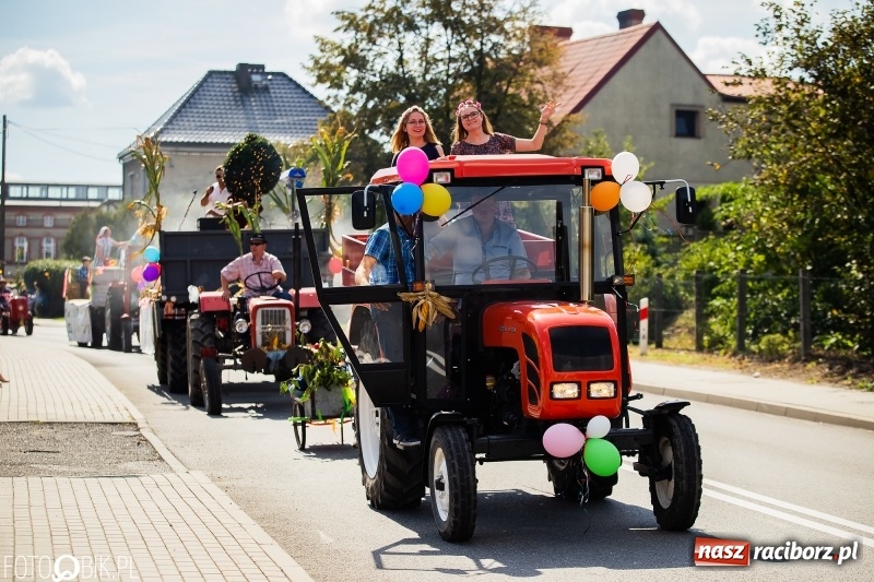 Zdjęcie w galerii na portalu naszraciborz.pl: Dożynki 2018. Dziś świętuje Racibórz. Barwny korowód od Sudoła do Studziennej WIDEO wiadomości z regionu