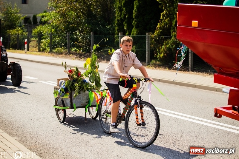 Zdjęcie w galerii na portalu naszraciborz.pl: Dożynki 2018. Dziś świętuje Racibórz. Barwny korowód od Sudoła do Studziennej WIDEO wiadomości z regionu