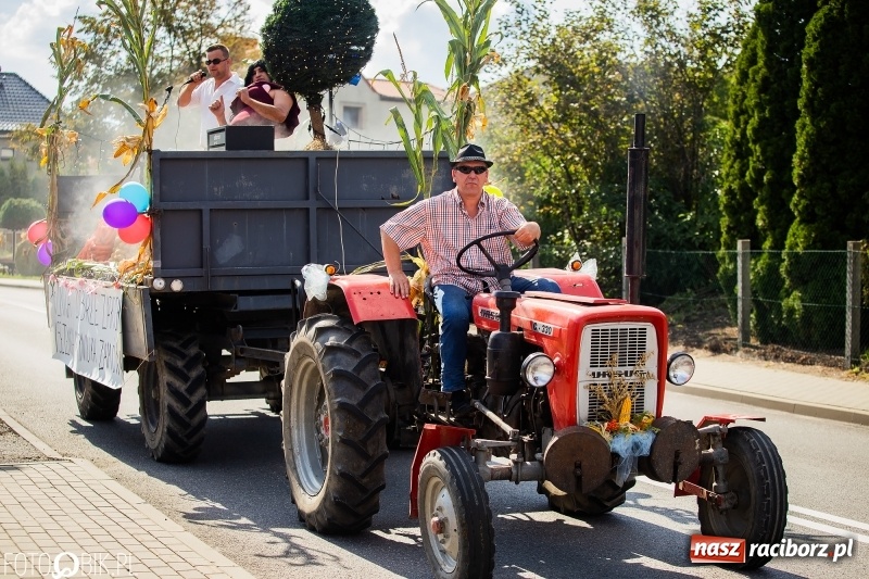 Zdjęcie w galerii na portalu naszraciborz.pl: Dożynki 2018. Dziś świętuje Racibórz. Barwny korowód od Sudoła do Studziennej WIDEO wiadomości z regionu