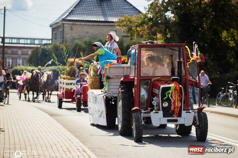 Zdjęcie w galerii na portalu naszraciborz.pl: Dożynki 2018. Dziś świętuje Racibórz. Barwny korowód od Sudoła do Studziennej WIDEO wiadomości z regionu