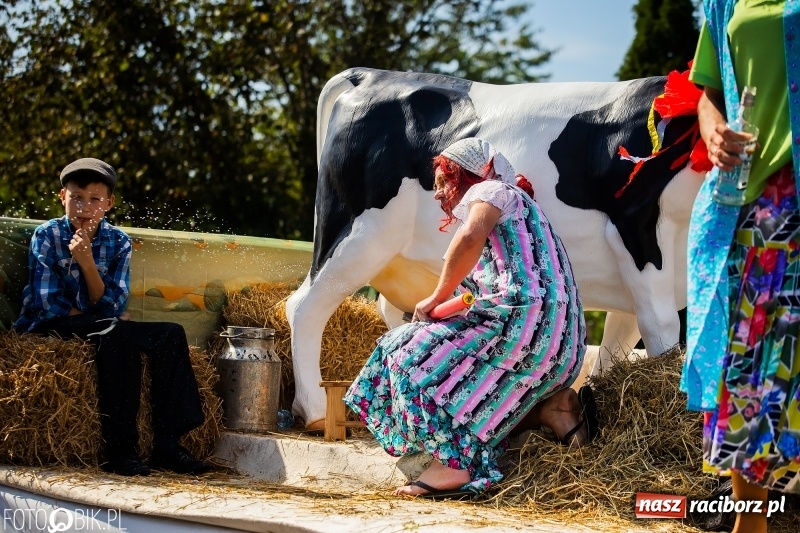 Zdjęcie w galerii na portalu naszraciborz.pl: Dożynki 2018. Dziś świętuje Racibórz. Barwny korowód od Sudoła do Studziennej WIDEO wiadomości z regionu