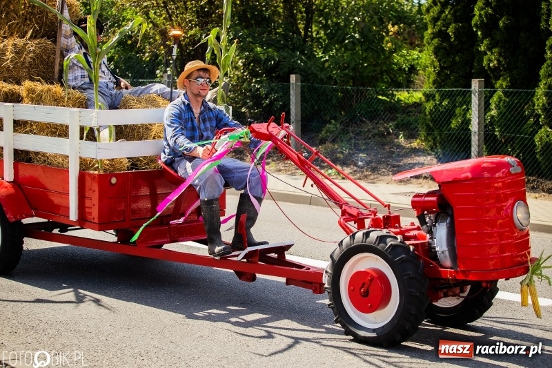 Zdjęcie w galerii na portalu naszraciborz.pl: Dożynki 2018. Dziś świętuje Racibórz. Barwny korowód od Sudoła do Studziennej WIDEO wiadomości z regionu