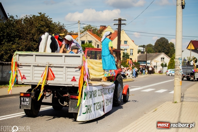 Zdjęcie w galerii na portalu naszraciborz.pl: Dożynki 2018. Dziś świętuje Racibórz. Barwny korowód od Sudoła do Studziennej WIDEO wiadomości z regionu