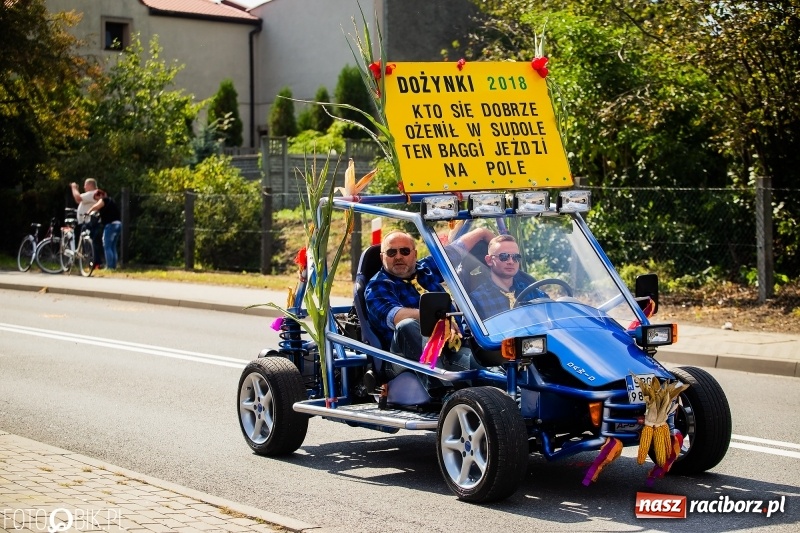 Zdjęcie w galerii na portalu naszraciborz.pl: Dożynki 2018. Dziś świętuje Racibórz. Barwny korowód od Sudoła do Studziennej WIDEO wiadomości z regionu