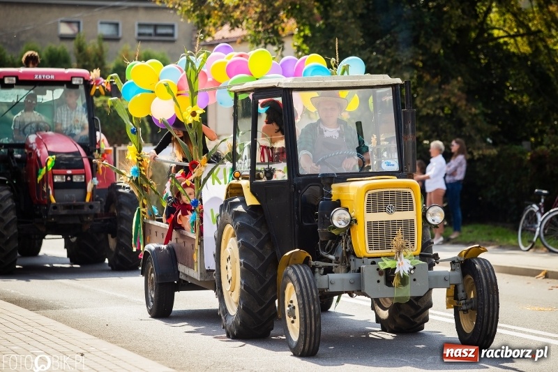 Zdjęcie w galerii na portalu naszraciborz.pl: Dożynki 2018. Dziś świętuje Racibórz. Barwny korowód od Sudoła do Studziennej WIDEO wiadomości z regionu