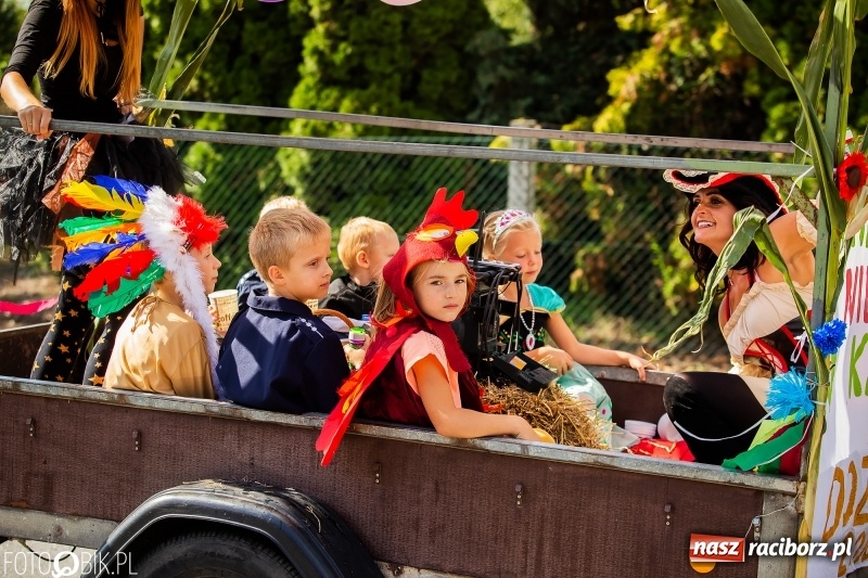 Zdjęcie w galerii na portalu naszraciborz.pl: Dożynki 2018. Dziś świętuje Racibórz. Barwny korowód od Sudoła do Studziennej WIDEO wiadomości z regionu