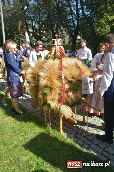 Zdjęcie w galerii na portalu naszraciborz.pl: Diecezja gliwicka dziękuje za plony w Rudach  wiadomości z regionu