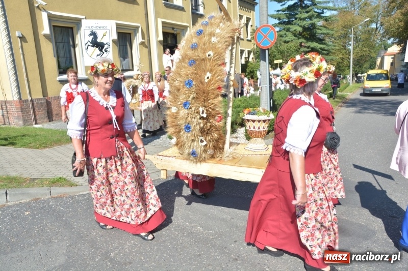 Zdjęcie w galerii na portalu naszraciborz.pl: Diecezja gliwicka dziękuje za plony w Rudach  wiadomości z regionu