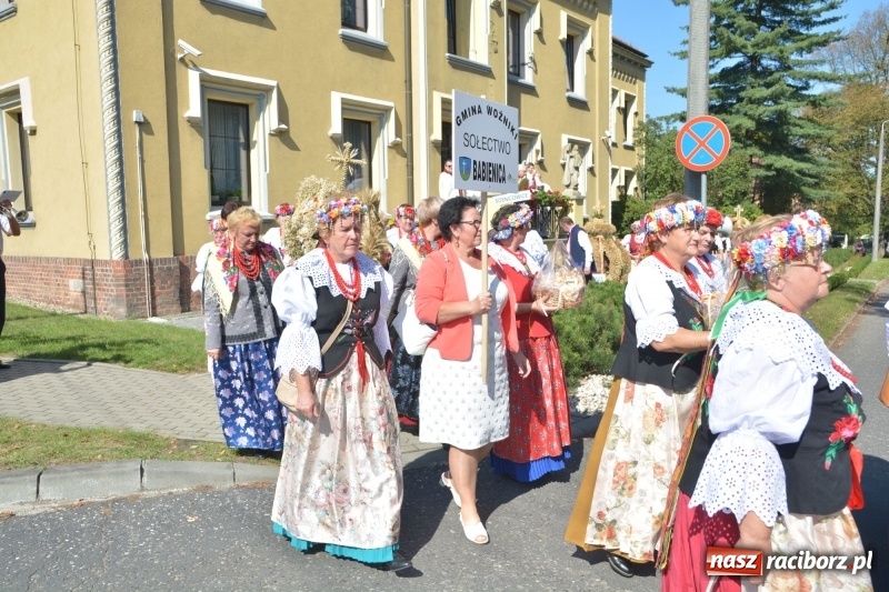 Zdjęcie w galerii na portalu naszraciborz.pl: Diecezja gliwicka dziękuje za plony w Rudach  wiadomości z regionu