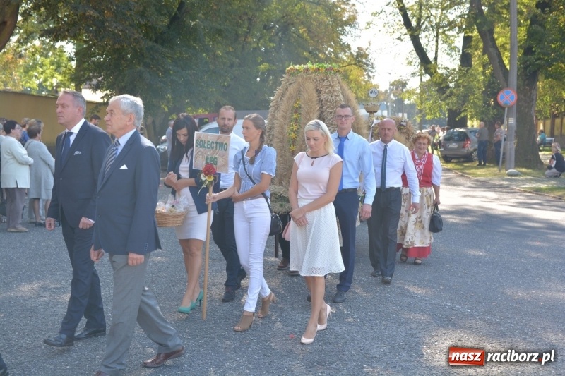 Zdjęcie w galerii na portalu naszraciborz.pl: Diecezja gliwicka dziękuje za plony w Rudach  wiadomości z regionu