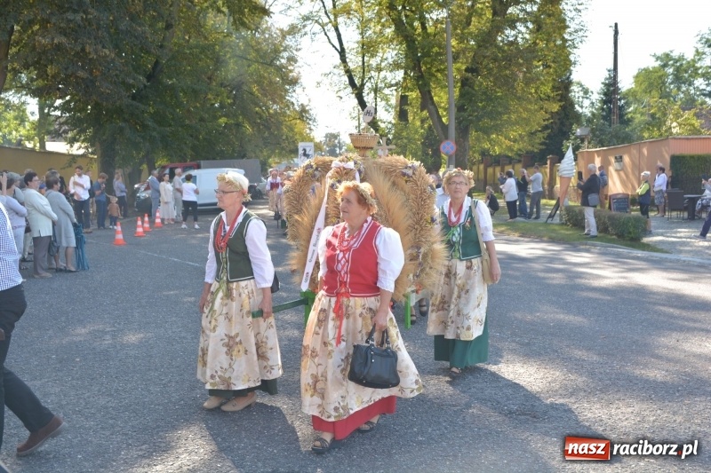 Zdjęcie w galerii na portalu naszraciborz.pl: Diecezja gliwicka dziękuje za plony w Rudach  wiadomości z regionu