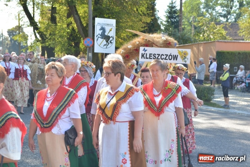 Zdjęcie w galerii na portalu naszraciborz.pl: Diecezja gliwicka dziękuje za plony w Rudach  wiadomości z regionu
