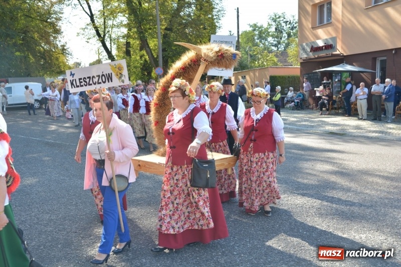 Zdjęcie w galerii na portalu naszraciborz.pl: Diecezja gliwicka dziękuje za plony w Rudach  wiadomości z regionu