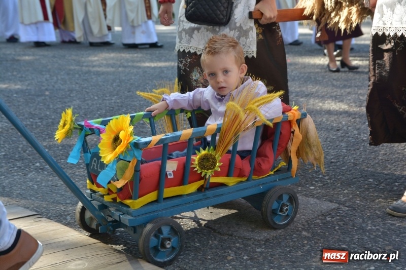 Zdjęcie w galerii na portalu naszraciborz.pl: Diecezja gliwicka dziękuje za plony w Rudach  wiadomości z regionu