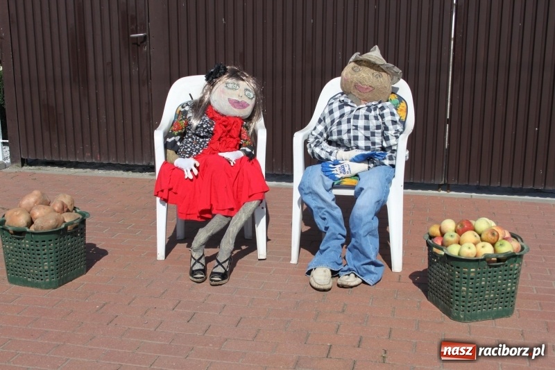 Zdjęcie w galerii na portalu naszraciborz.pl: Wieś ustrojona, do drogi gotowi. Jubileuszowe dożynki w Pawłowie  wiadomości z regionu