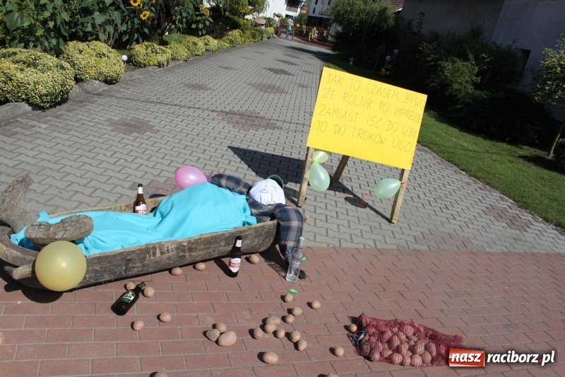 Zdjęcie w galerii na portalu naszraciborz.pl: Wieś ustrojona, do drogi gotowi. Jubileuszowe dożynki w Pawłowie  wiadomości z regionu