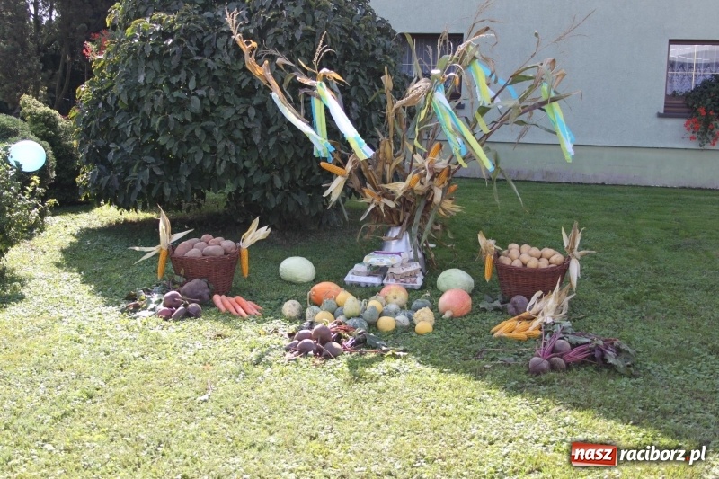 Zdjęcie w galerii na portalu naszraciborz.pl: Wieś ustrojona, do drogi gotowi. Jubileuszowe dożynki w Pawłowie  wiadomości z regionu