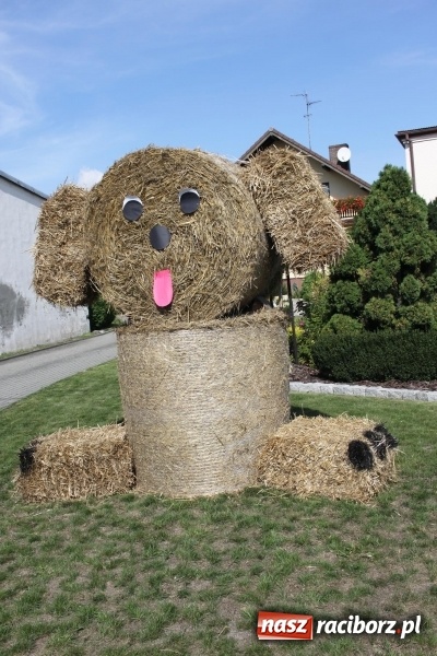 Zdjęcie w galerii na portalu naszraciborz.pl: Wieś ustrojona, do drogi gotowi. Jubileuszowe dożynki w Pawłowie  wiadomości z regionu