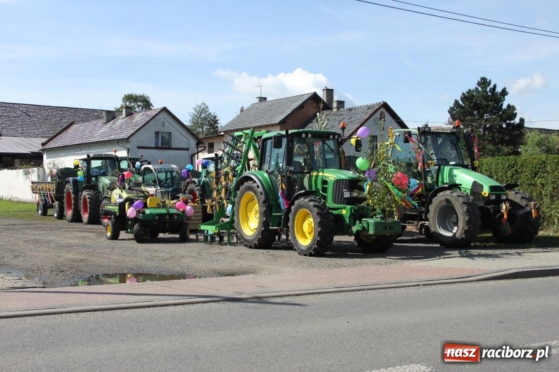 Zdjęcie w galerii na portalu naszraciborz.pl: Wieś ustrojona, do drogi gotowi. Jubileuszowe dożynki w Pawłowie  wiadomości z regionu