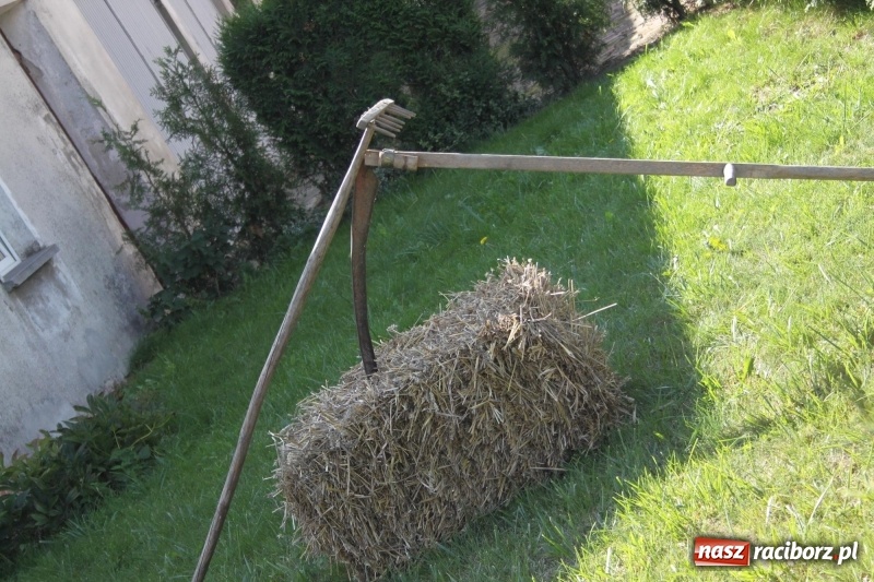 Zdjęcie w galerii na portalu naszraciborz.pl: Wieś ustrojona, do drogi gotowi. Jubileuszowe dożynki w Pawłowie  wiadomości z regionu