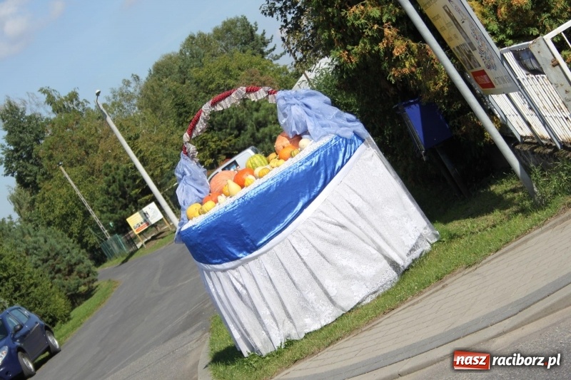 Zdjęcie w galerii na portalu naszraciborz.pl: Wieś ustrojona, do drogi gotowi. Jubileuszowe dożynki w Pawłowie  wiadomości z regionu