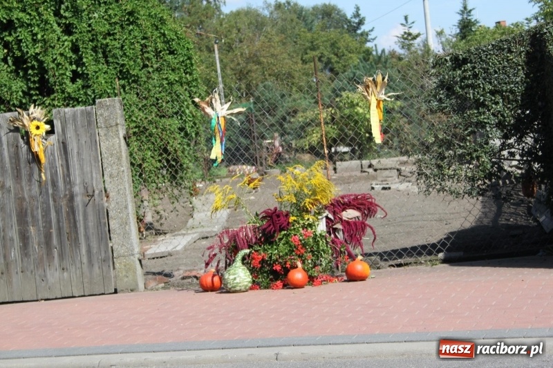 Zdjęcie w galerii na portalu naszraciborz.pl: Wieś ustrojona, do drogi gotowi. Jubileuszowe dożynki w Pawłowie  wiadomości z regionu