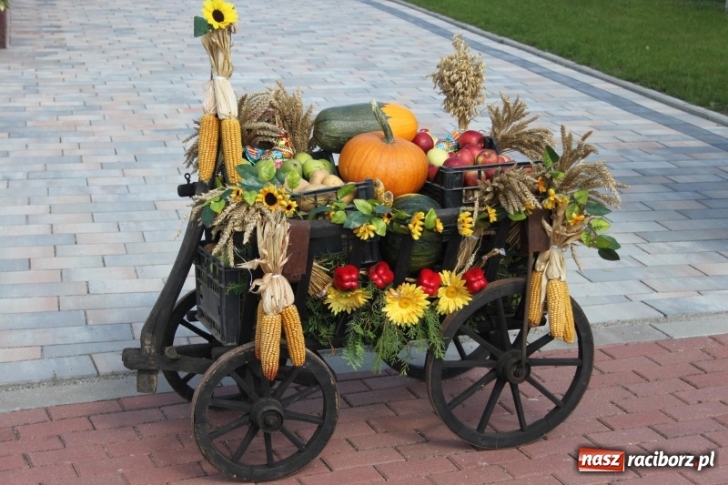 Zdjęcie w galerii na portalu naszraciborz.pl: Wieś ustrojona, do drogi gotowi. Jubileuszowe dożynki w Pawłowie  wiadomości z regionu