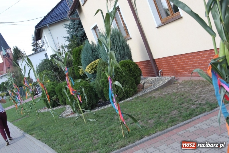 Zdjęcie w galerii na portalu naszraciborz.pl: Wieś ustrojona, do drogi gotowi. Jubileuszowe dożynki w Pawłowie  wiadomości z regionu