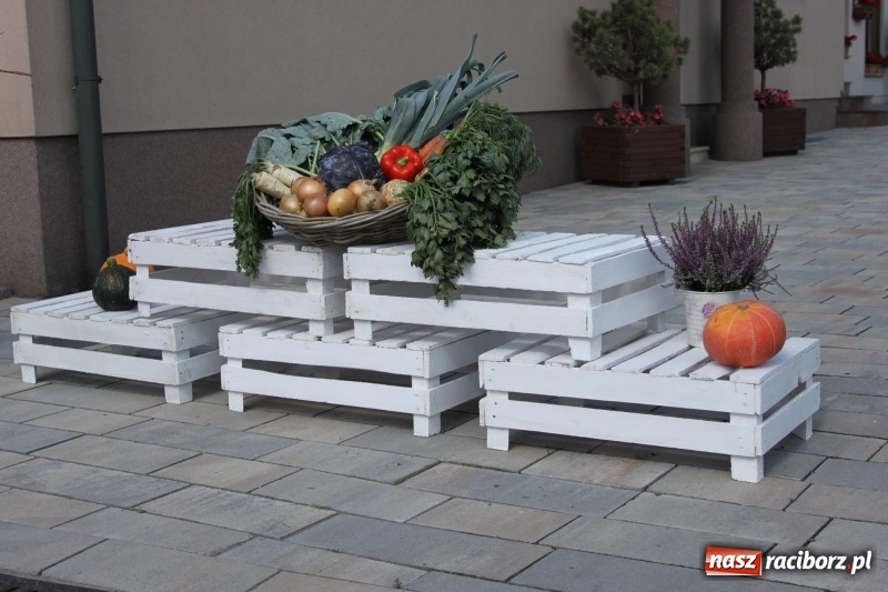 Zdjęcie w galerii na portalu naszraciborz.pl: Wieś ustrojona, do drogi gotowi. Jubileuszowe dożynki w Pawłowie  wiadomości z regionu