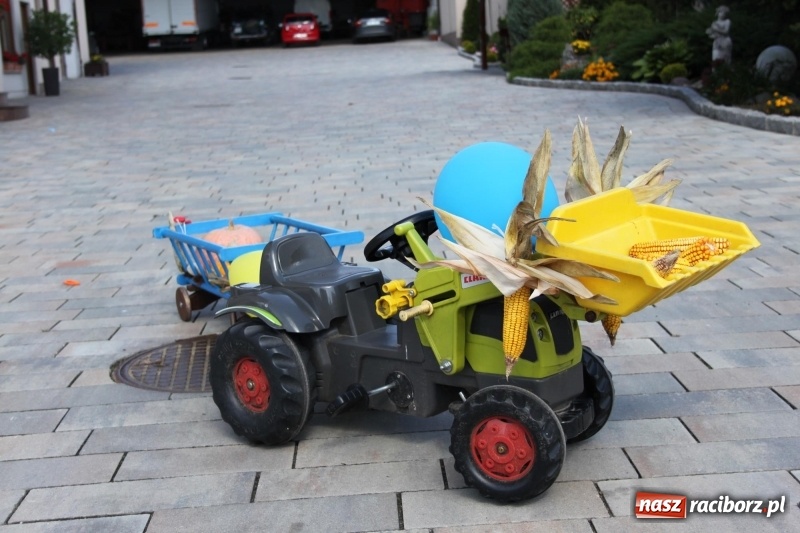 Zdjęcie w galerii na portalu naszraciborz.pl: Wieś ustrojona, do drogi gotowi. Jubileuszowe dożynki w Pawłowie  wiadomości z regionu