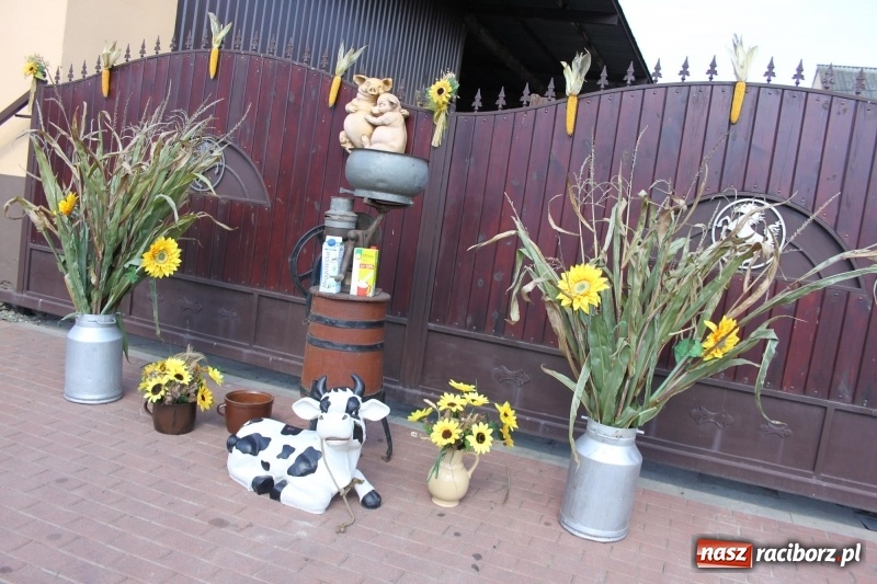 Zdjęcie w galerii na portalu naszraciborz.pl: Wieś ustrojona, do drogi gotowi. Jubileuszowe dożynki w Pawłowie  wiadomości z regionu