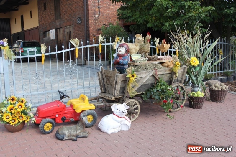 Zdjęcie w galerii na portalu naszraciborz.pl: Wieś ustrojona, do drogi gotowi. Jubileuszowe dożynki w Pawłowie  wiadomości z regionu