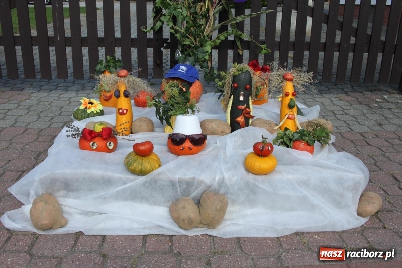 Zdjęcie w galerii na portalu naszraciborz.pl: Wieś ustrojona, do drogi gotowi. Jubileuszowe dożynki w Pawłowie  wiadomości z regionu