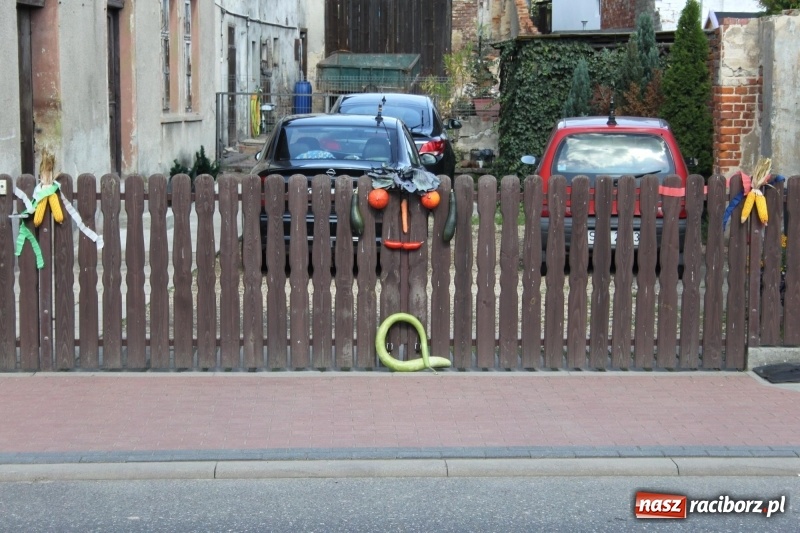 Zdjęcie w galerii na portalu naszraciborz.pl: Wieś ustrojona, do drogi gotowi. Jubileuszowe dożynki w Pawłowie  wiadomości z regionu