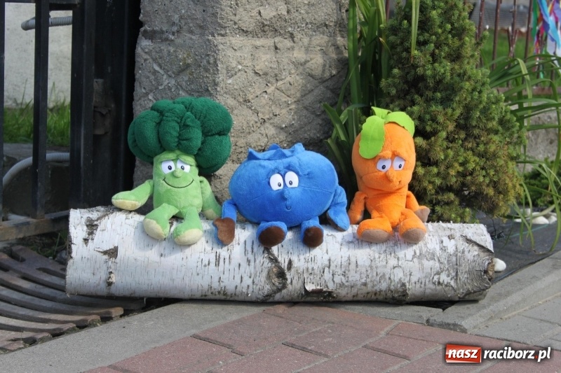 Zdjęcie w galerii na portalu naszraciborz.pl: Wieś ustrojona, do drogi gotowi. Jubileuszowe dożynki w Pawłowie  wiadomości z regionu