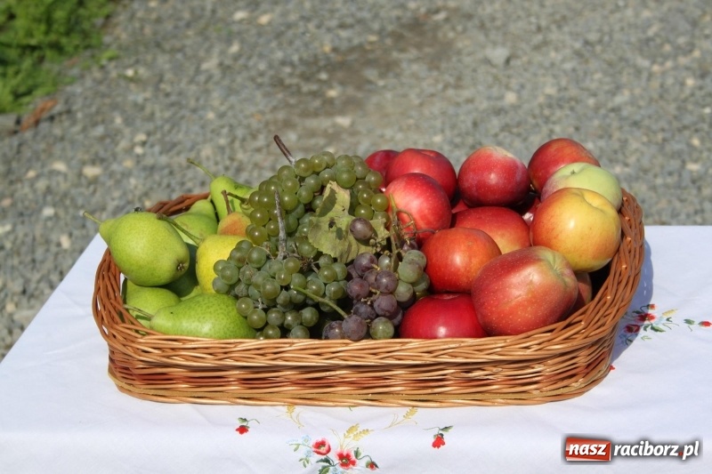 Zdjęcie w galerii na portalu naszraciborz.pl: Wieś ustrojona, do drogi gotowi. Jubileuszowe dożynki w Pawłowie  wiadomości z regionu