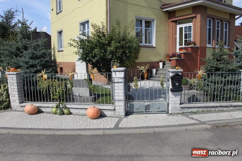 Zdjęcie w galerii na portalu naszraciborz.pl: Wieś ustrojona, do drogi gotowi. Jubileuszowe dożynki w Pawłowie  wiadomości z regionu