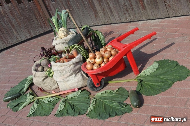 Zdjęcie w galerii na portalu naszraciborz.pl: Wieś ustrojona, do drogi gotowi. Jubileuszowe dożynki w Pawłowie  wiadomości z regionu