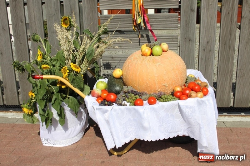 Zdjęcie w galerii na portalu naszraciborz.pl: Wieś ustrojona, do drogi gotowi. Jubileuszowe dożynki w Pawłowie  wiadomości z regionu