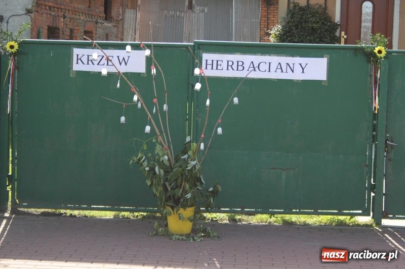 Zdjęcie w galerii na portalu naszraciborz.pl: Wieś ustrojona, do drogi gotowi. Jubileuszowe dożynki w Pawłowie  wiadomości z regionu