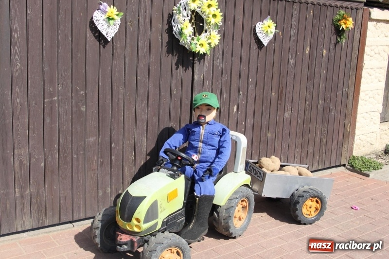 Zdjęcie w galerii na portalu naszraciborz.pl: Wieś ustrojona, do drogi gotowi. Jubileuszowe dożynki w Pawłowie  wiadomości z regionu