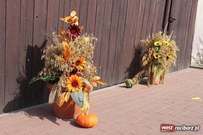 Zdjęcie w galerii na portalu naszraciborz.pl: Wieś ustrojona, do drogi gotowi. Jubileuszowe dożynki w Pawłowie  wiadomości z regionu