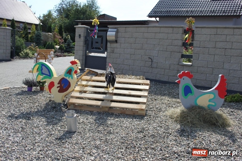 Zdjęcie w galerii na portalu naszraciborz.pl: Wieś ustrojona, do drogi gotowi. Jubileuszowe dożynki w Pawłowie  wiadomości z regionu