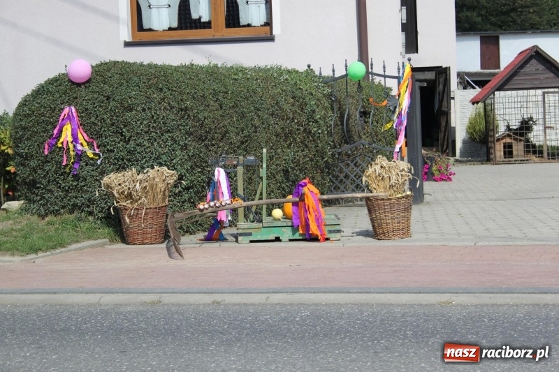 Zdjęcie w galerii na portalu naszraciborz.pl: Wieś ustrojona, do drogi gotowi. Jubileuszowe dożynki w Pawłowie  wiadomości z regionu