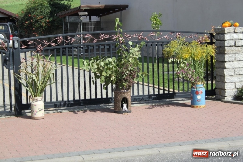 Zdjęcie w galerii na portalu naszraciborz.pl: Wieś ustrojona, do drogi gotowi. Jubileuszowe dożynki w Pawłowie  wiadomości z regionu